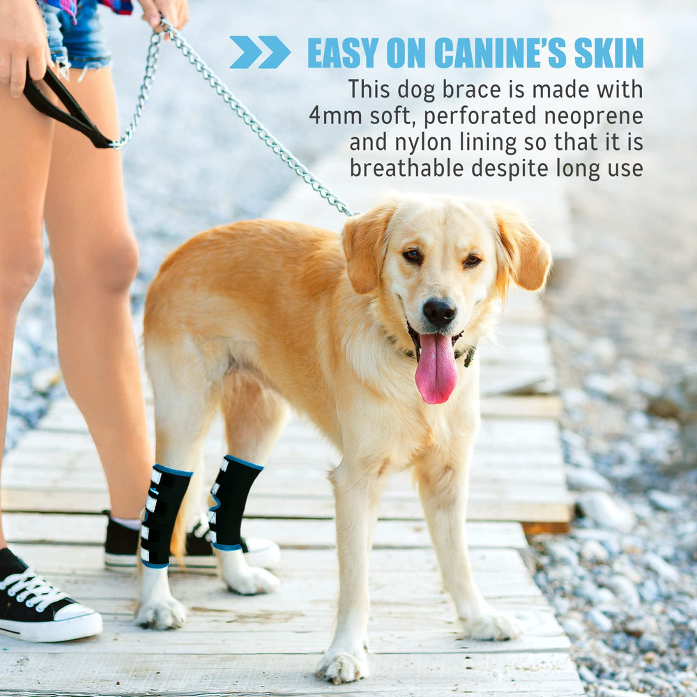 NeoAlly brace size chart view helps pick the right fit for dogs.
