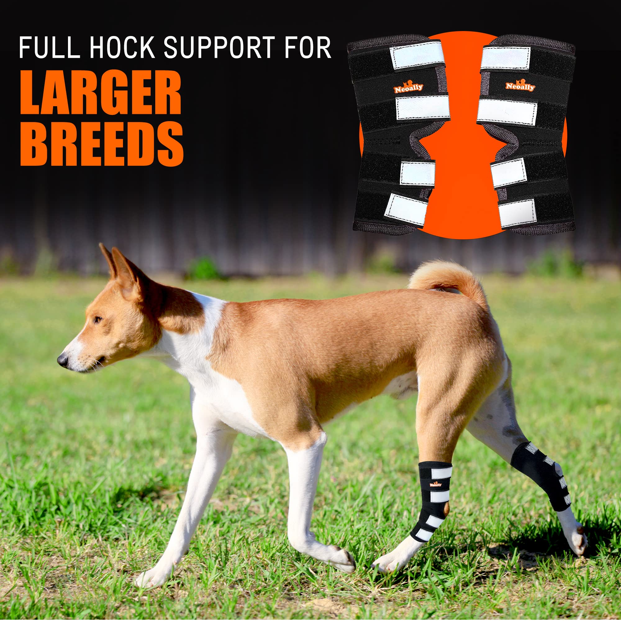 NeoAlly dog brace being applied with skin-friendly lining for comfortable wear.