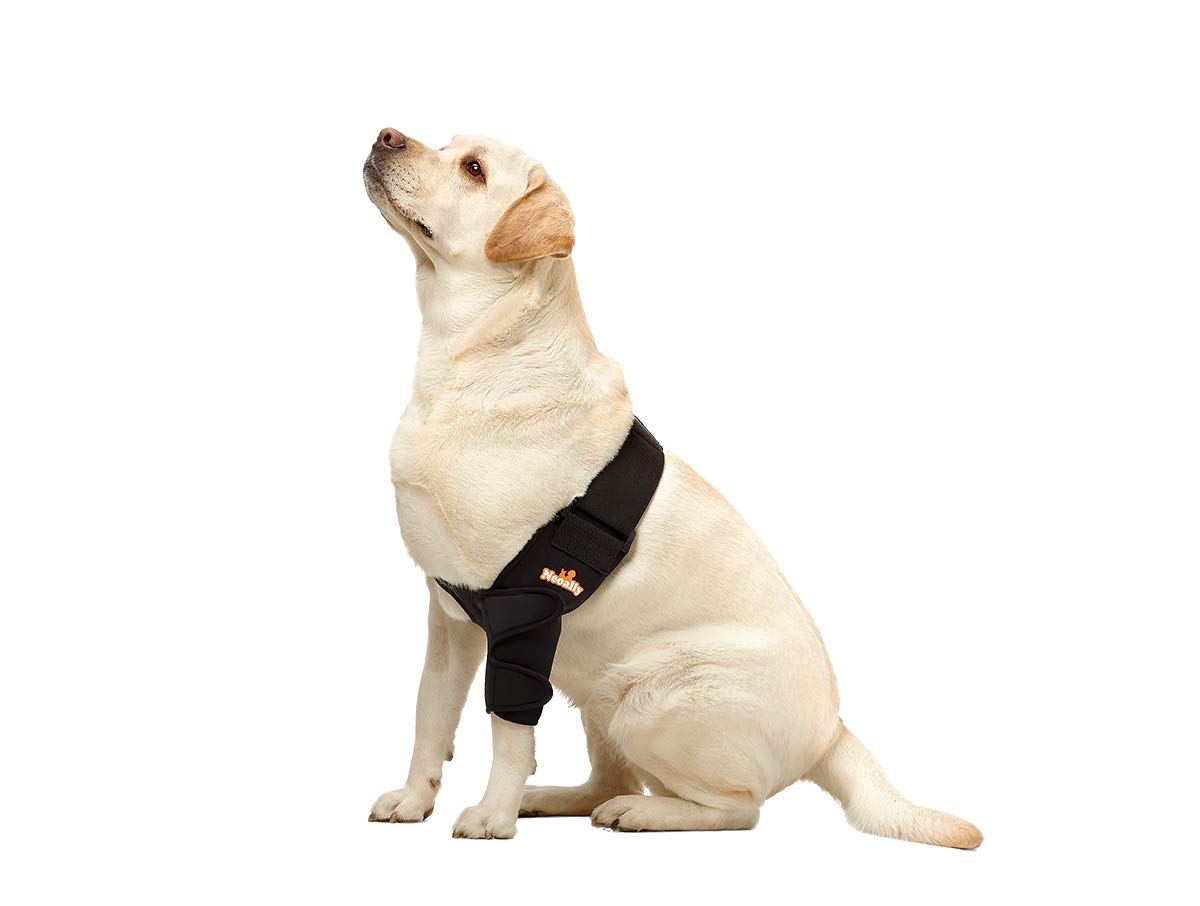 NeoAlly dog elbow brace closeup soft fabric highlights breathable comfort.