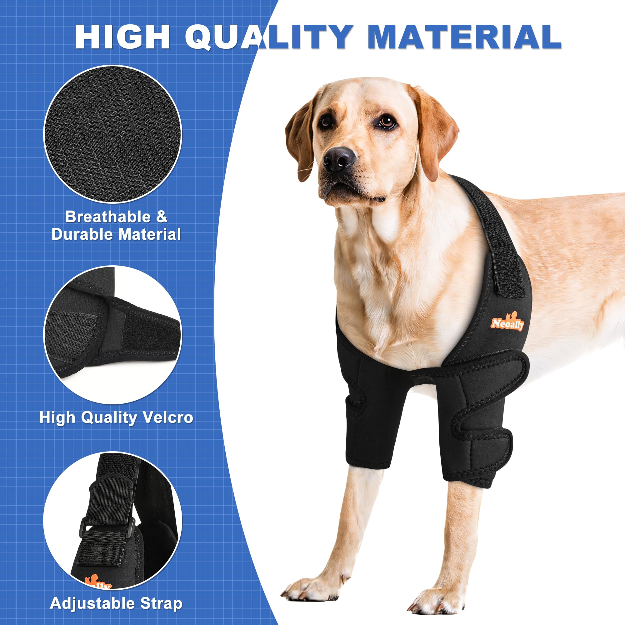 NeoAlly packaging with sizing chart for accurate fit
