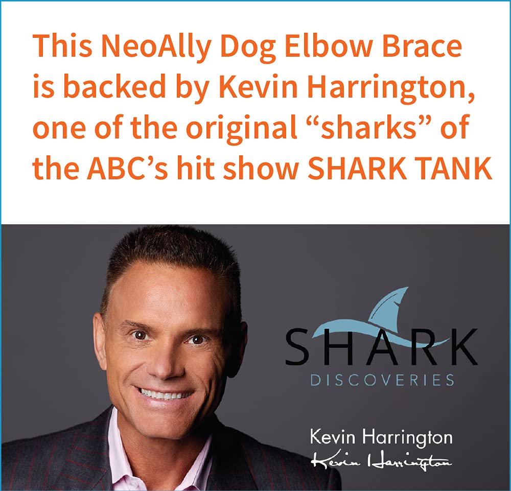 NeoAlly dog elbow brace right small worn during walking demonstrates mobility.