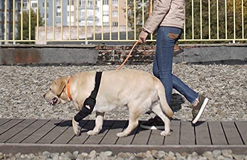 NeoAlly dog elbow brace size-chart helps choose correct fit for left leg.