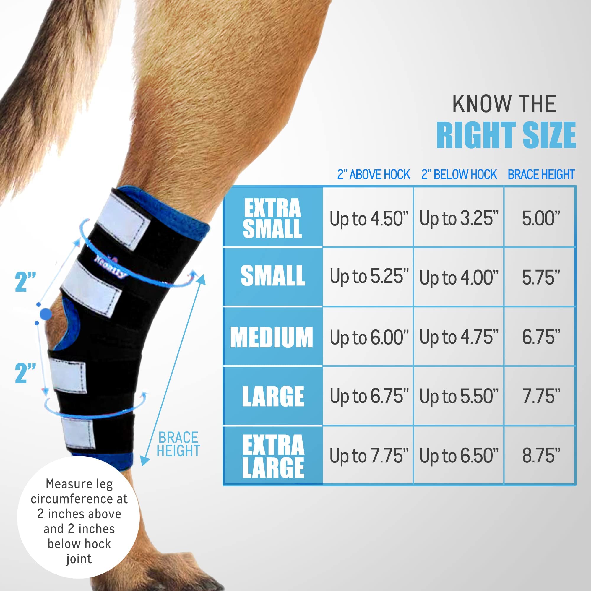 NeoAlly dog leg brace with reflective straps improves dark visibility and safety.