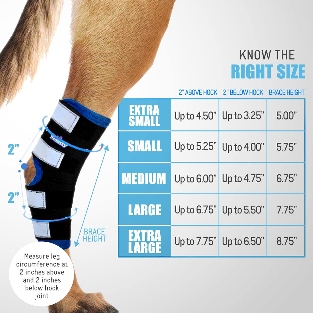 NeoAlly dog leg brace with reflective straps improves dark visibility and safety.