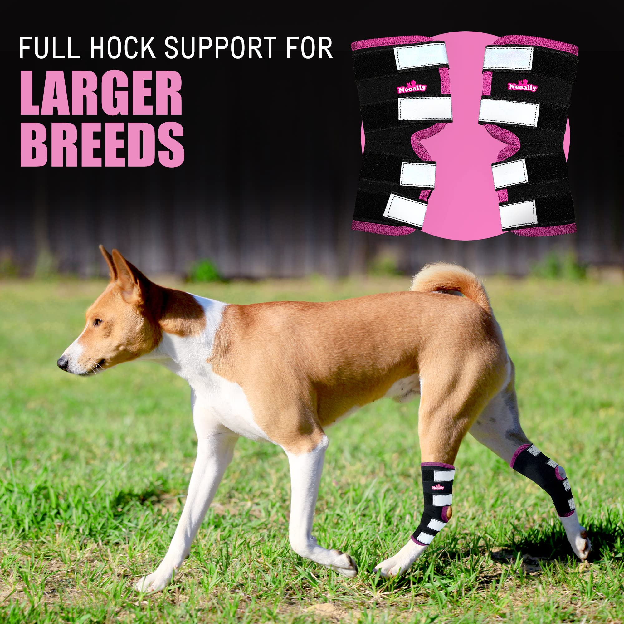 NeoAlly dog rear leg braces hock support improves stable gait