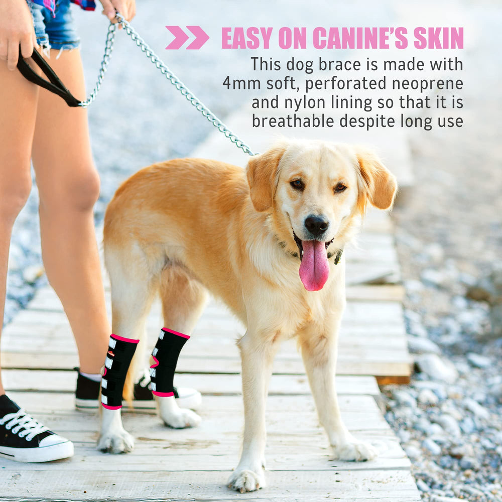 NeoAlly dog rear leg braces nylon lining for durable comfort