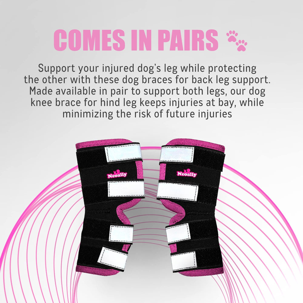 NeoAlly dog rear leg braces pink color boosts visibility