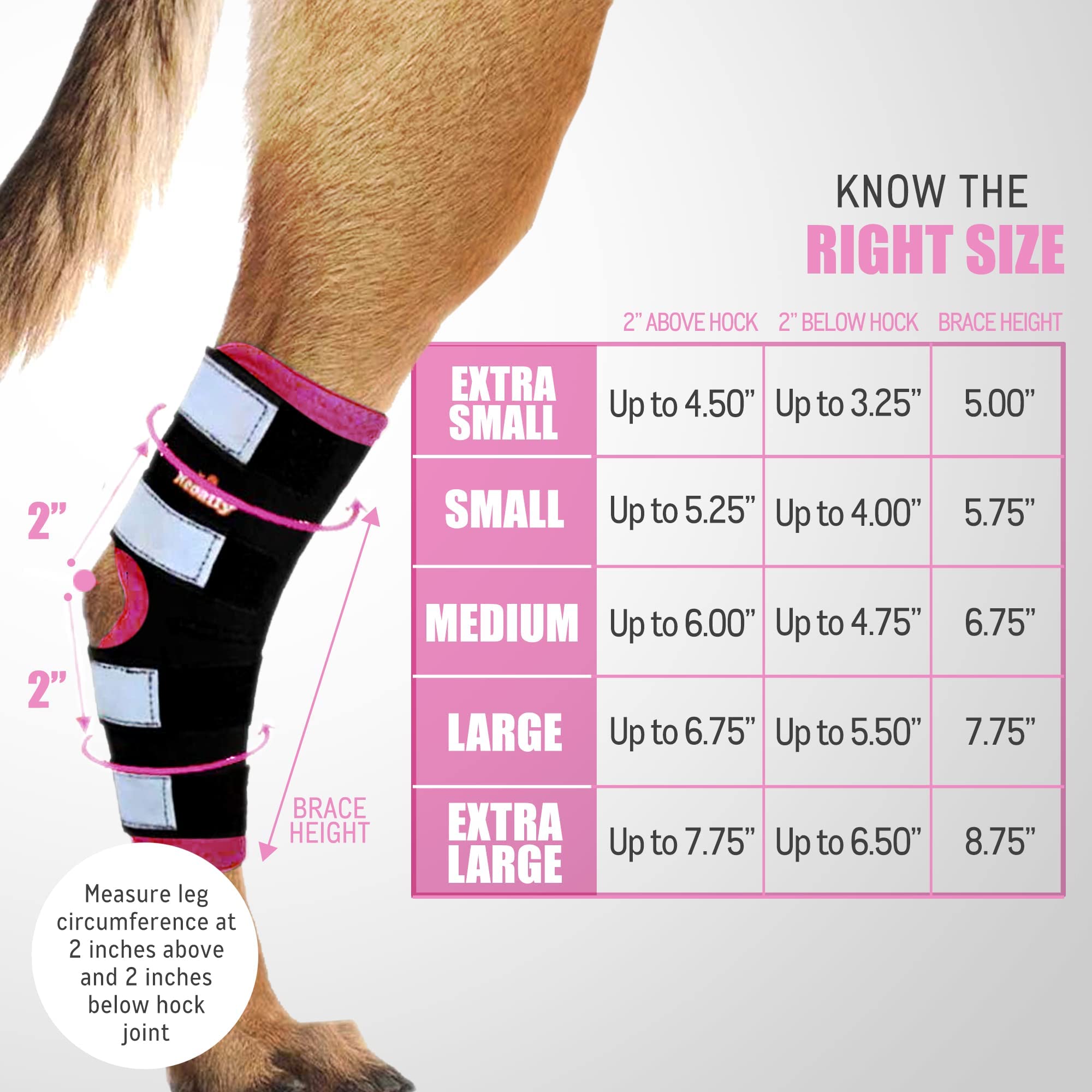 NeoAlly dog rear leg braces reflective straps enhance night visibility