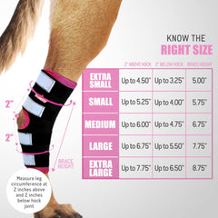 NeoAlly dog rear leg braces reflective straps enhance night visibility