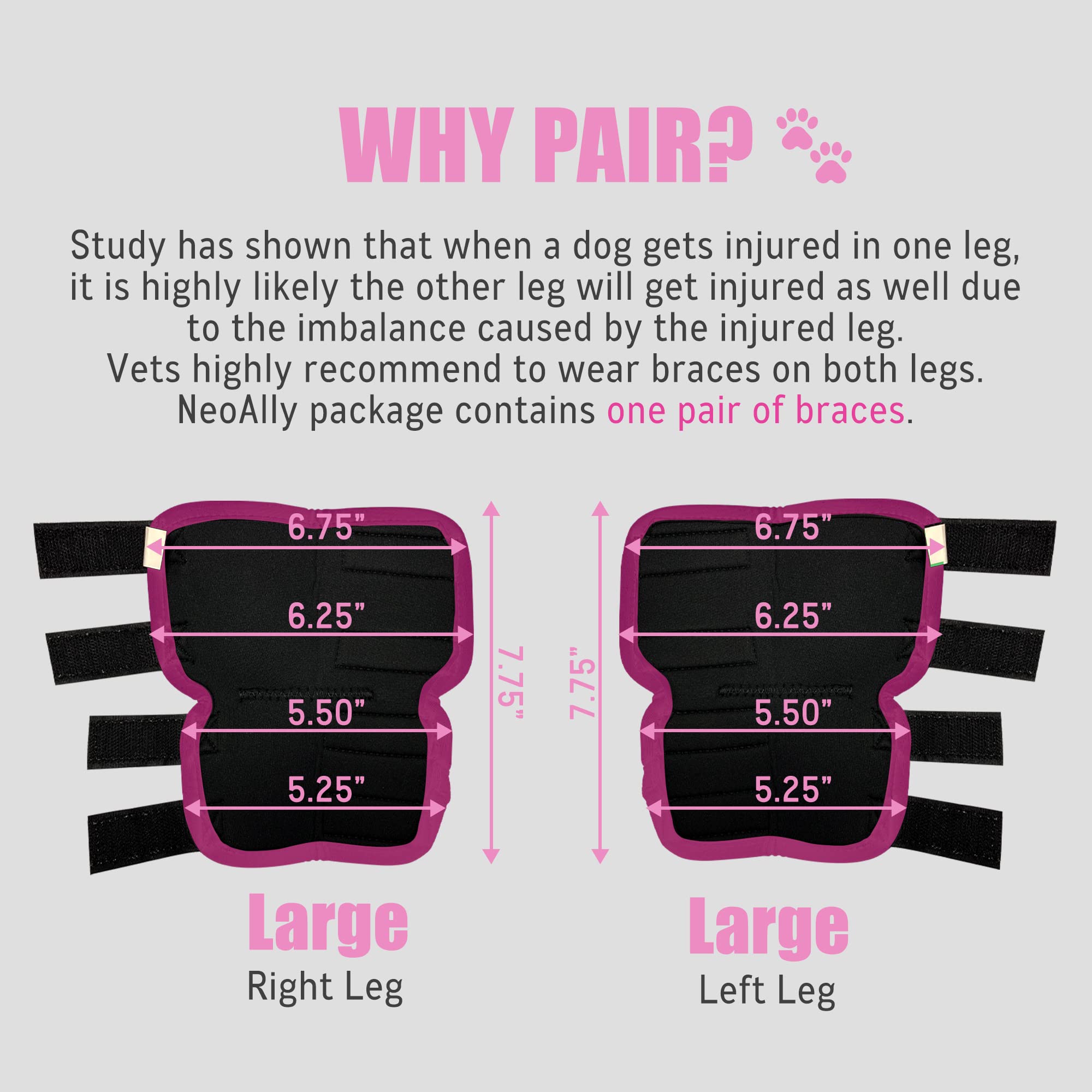 NeoAlly dog rear leg braces soft neoprene lining reduces rubbing
