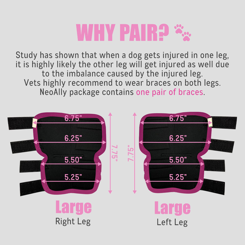 NeoAlly dog rear leg braces soft neoprene lining reduces rubbing