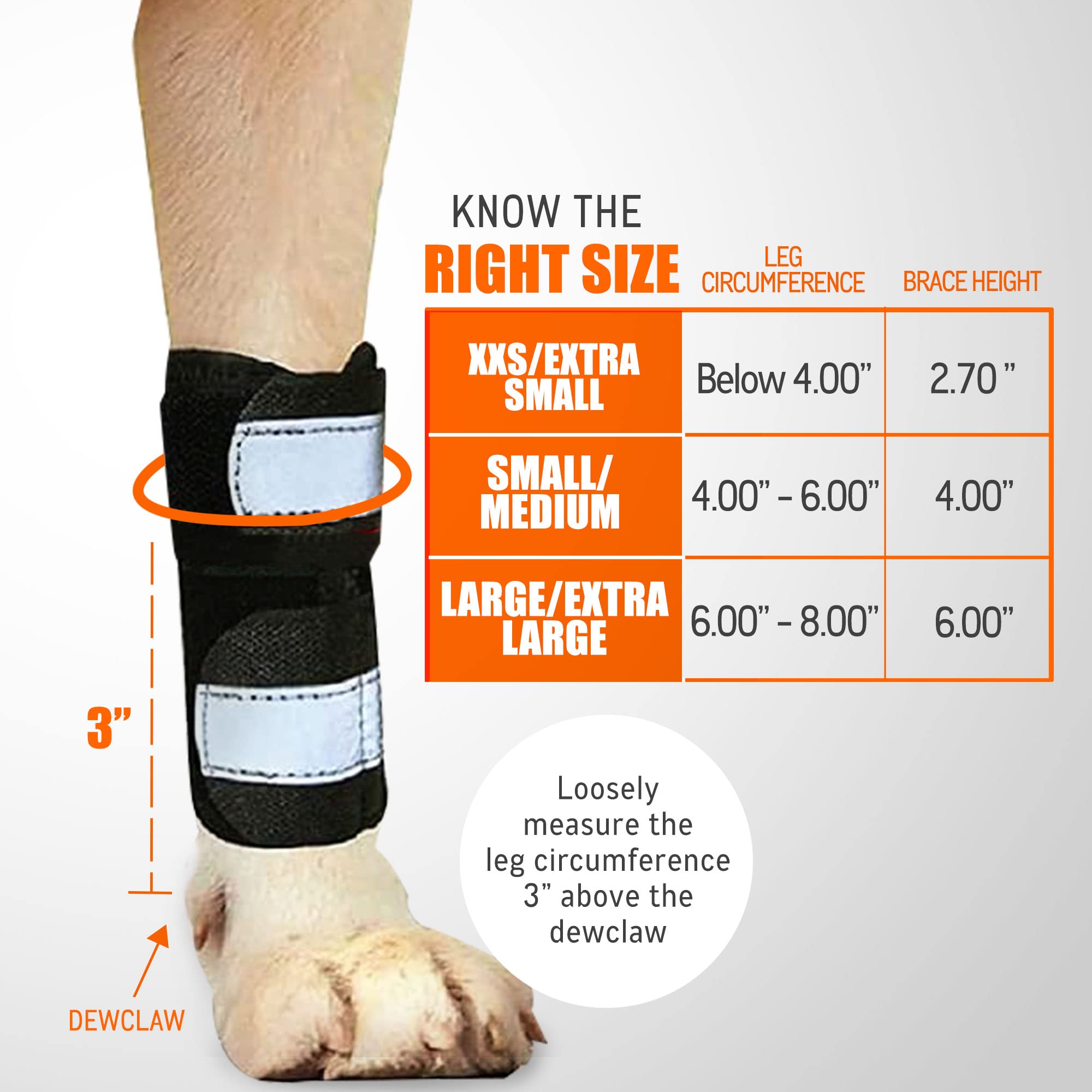 NeoAlly front leg brace reflective straps improve nighttime visibility.