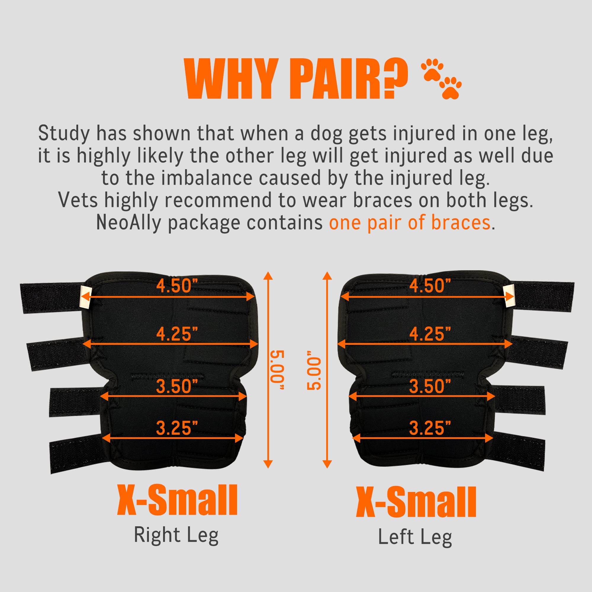 NeoAlly hock brace curve fit screenshot demonstrating comfortable alignment with the dog’s joint.