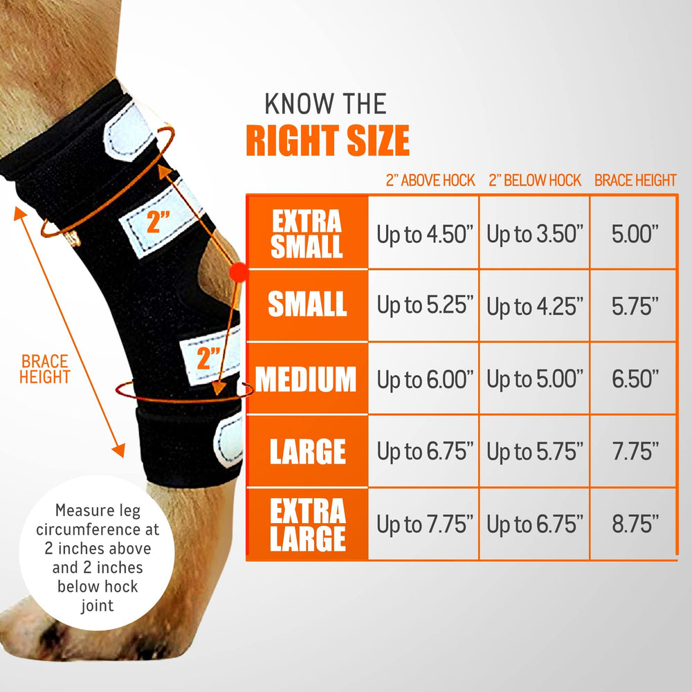 NeoAlly hock-brace-reflective-straps offers secure fit and nighttime visibility