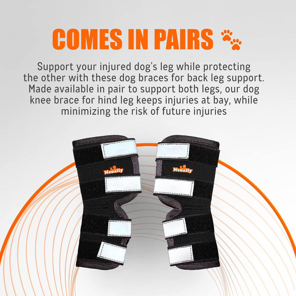 NeoAlly large dog wearing brace during outdoor walk.