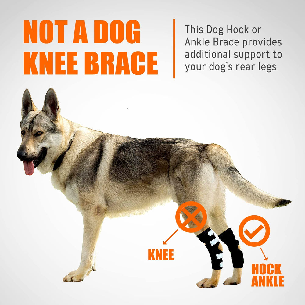 NeoAlly metal-spring-strips-removable provides adjustable support for gradual mobility