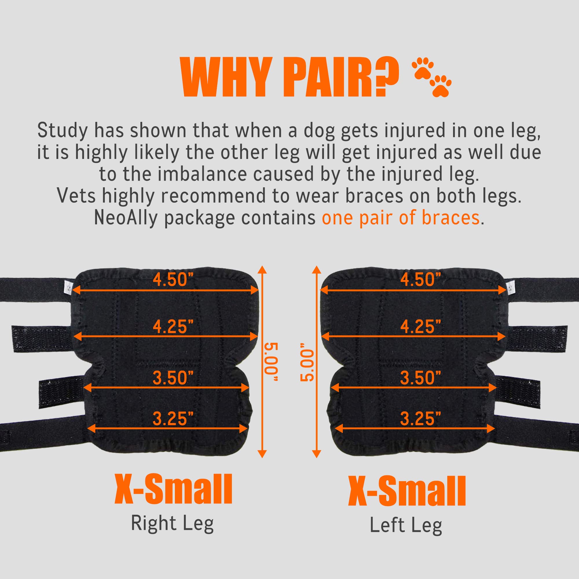 NeoAlly neoprene hock brace with skin-friendly lining for comfort.