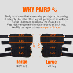 NeoAlly neoprene-lining-hock-brace breathable and gentle on skin to prevent chafing