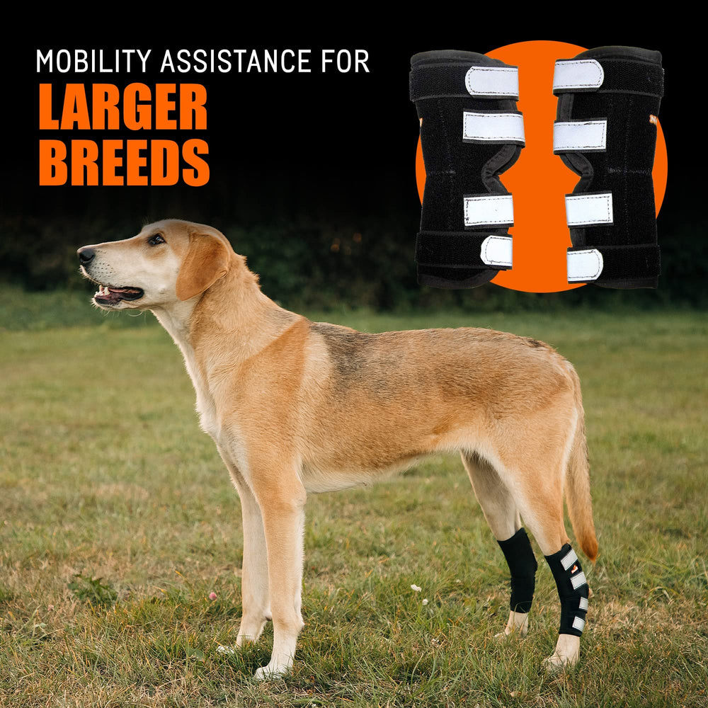 NeoAlly rear-leg-brace-curve-fit follows joint contours for comfortable wear