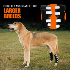 NeoAlly rear-leg-brace-curve-fit follows joint contours for comfortable wear