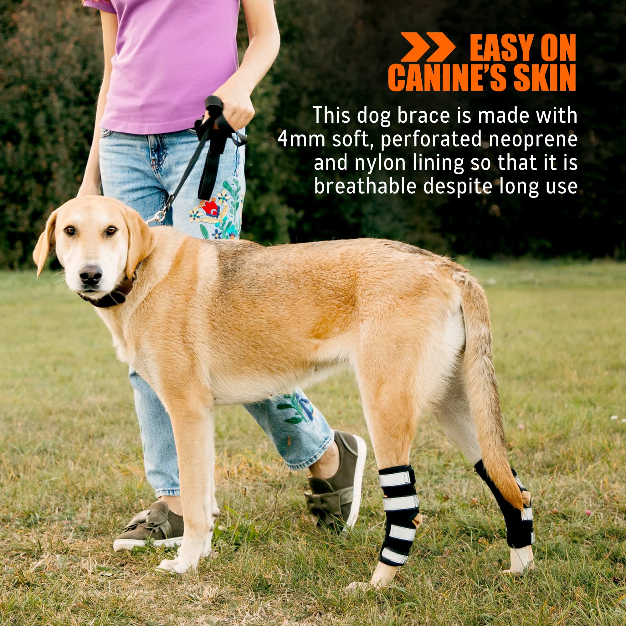 NeoAlly rear-leg-brace-large-dogs-long-design aids stability on uneven terrain