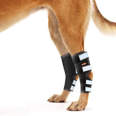 NeoAlly rear leg hock brace side view showing secure fit for hind leg stability.