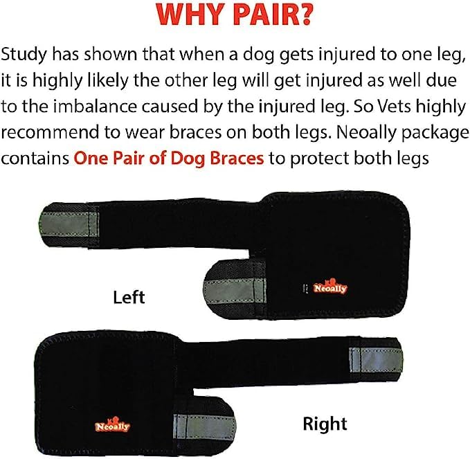 NeoAlly reflective straps improve visibility for safe dusk walks.