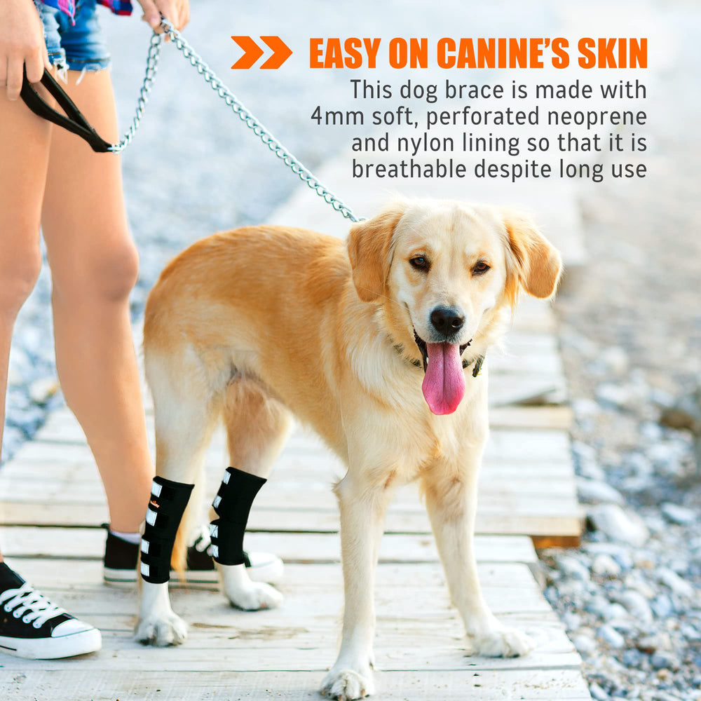 NeoAlly reflective velcro straps enable visibility and secure brace during evening walks.
