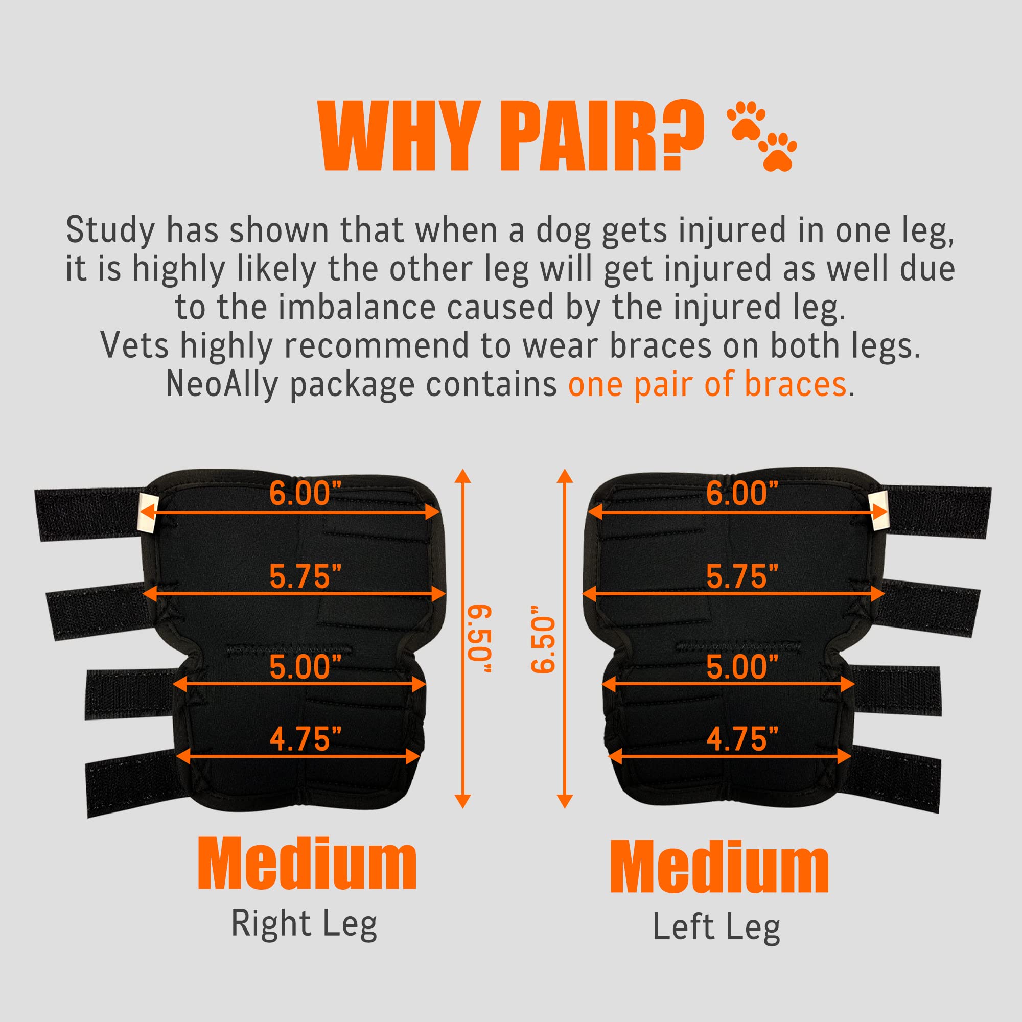 NeoAlly hock brace shows perforated neoprene for breathable comfort.