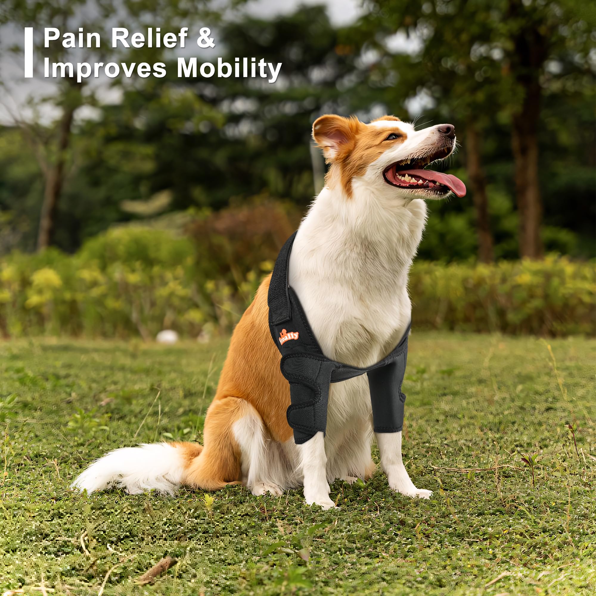 NeoAlly vet approved elbow brace label indicating professional endorsement