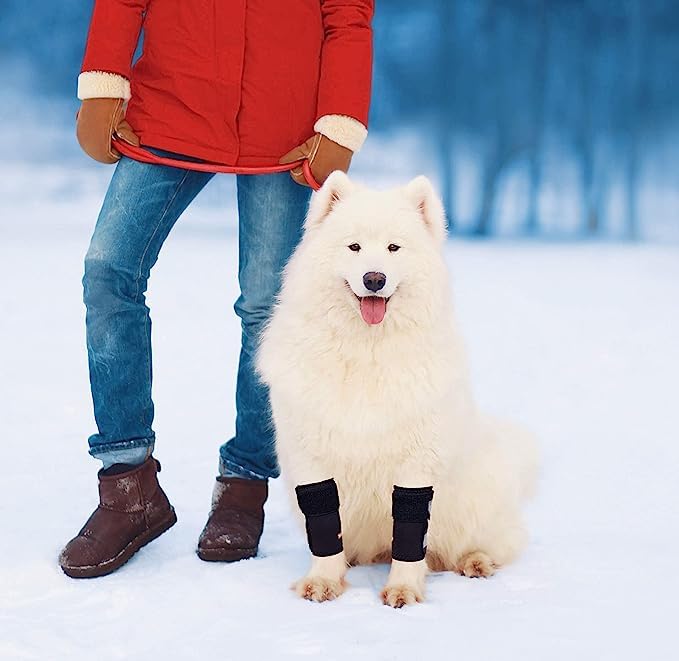 NeoAlly XXS to XS sizing offers a snug, secure fit.