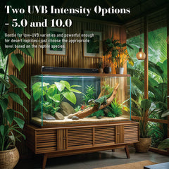 NEPTONION T5 UVB light reflector directs UVB to basking spot for reptile health