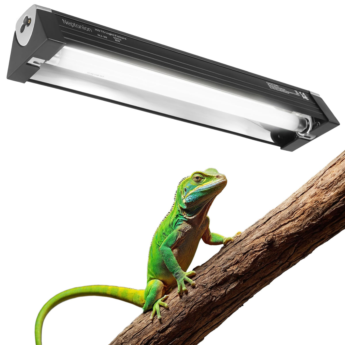 NEPTONION T5 UVB light fixture with reflector boosts UVB output for reptiles.
