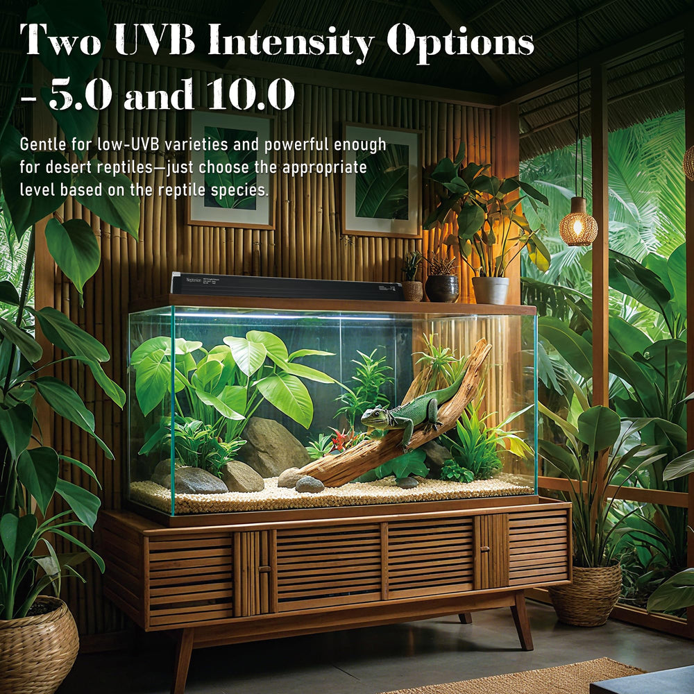 NEPTONION UVB-5.0 bulb in housing delivers consistent UVB exposure.