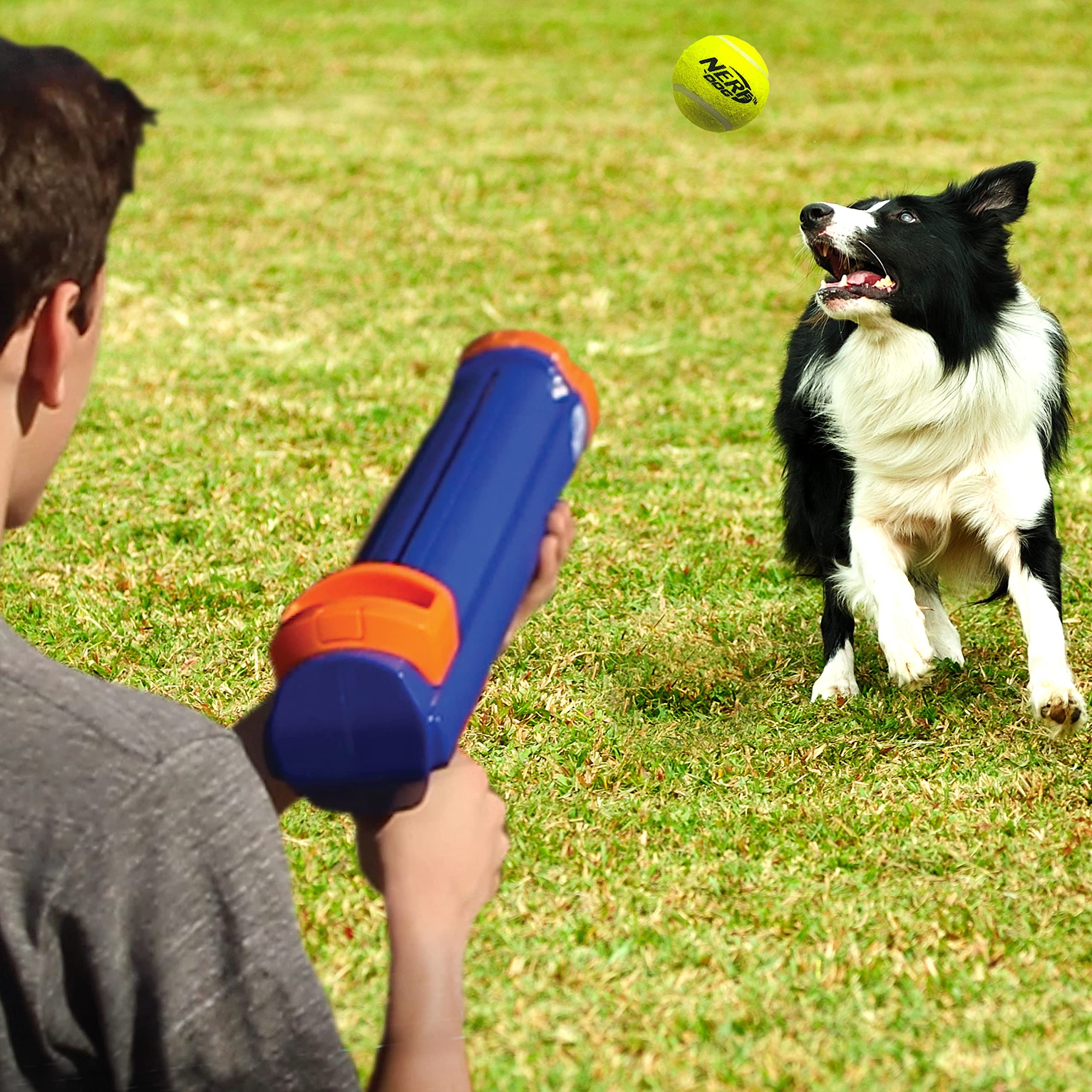 Nerf Dog Tennis Ball Blaster distance-50ft reaches 50 feet for wide-area fetch.