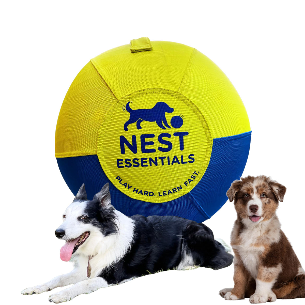 Nest Essentials Herding Ball dog toy in blue and yellow boosts training focus.