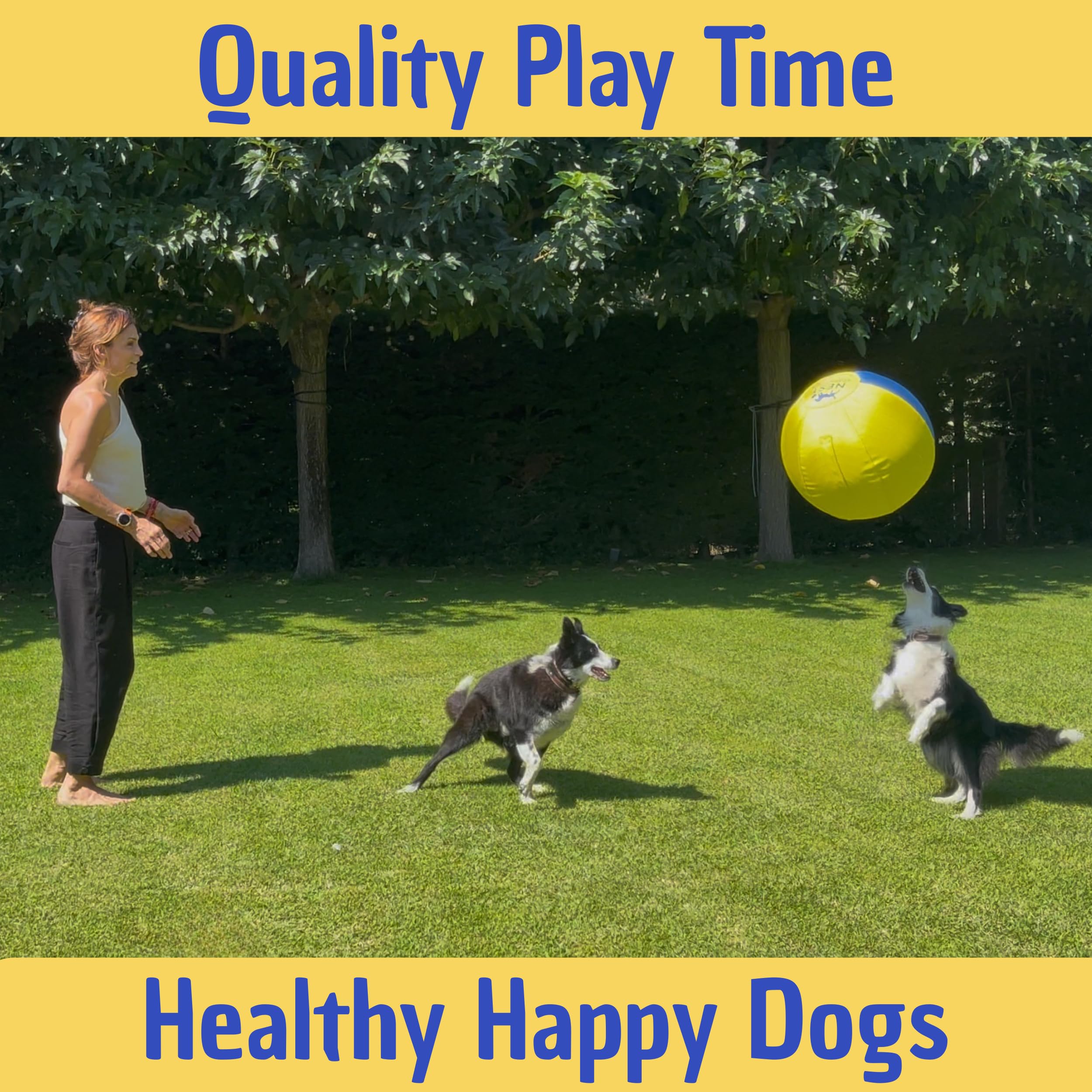Nest Essentials Herding Ball ideal for active breeds channeling energy into play.