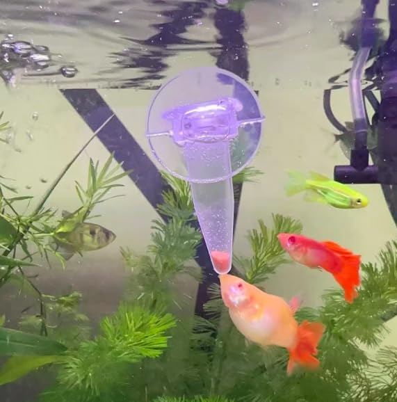 NestBasics automatic feeder helps steady feeding for tank-kept brine shrimp.