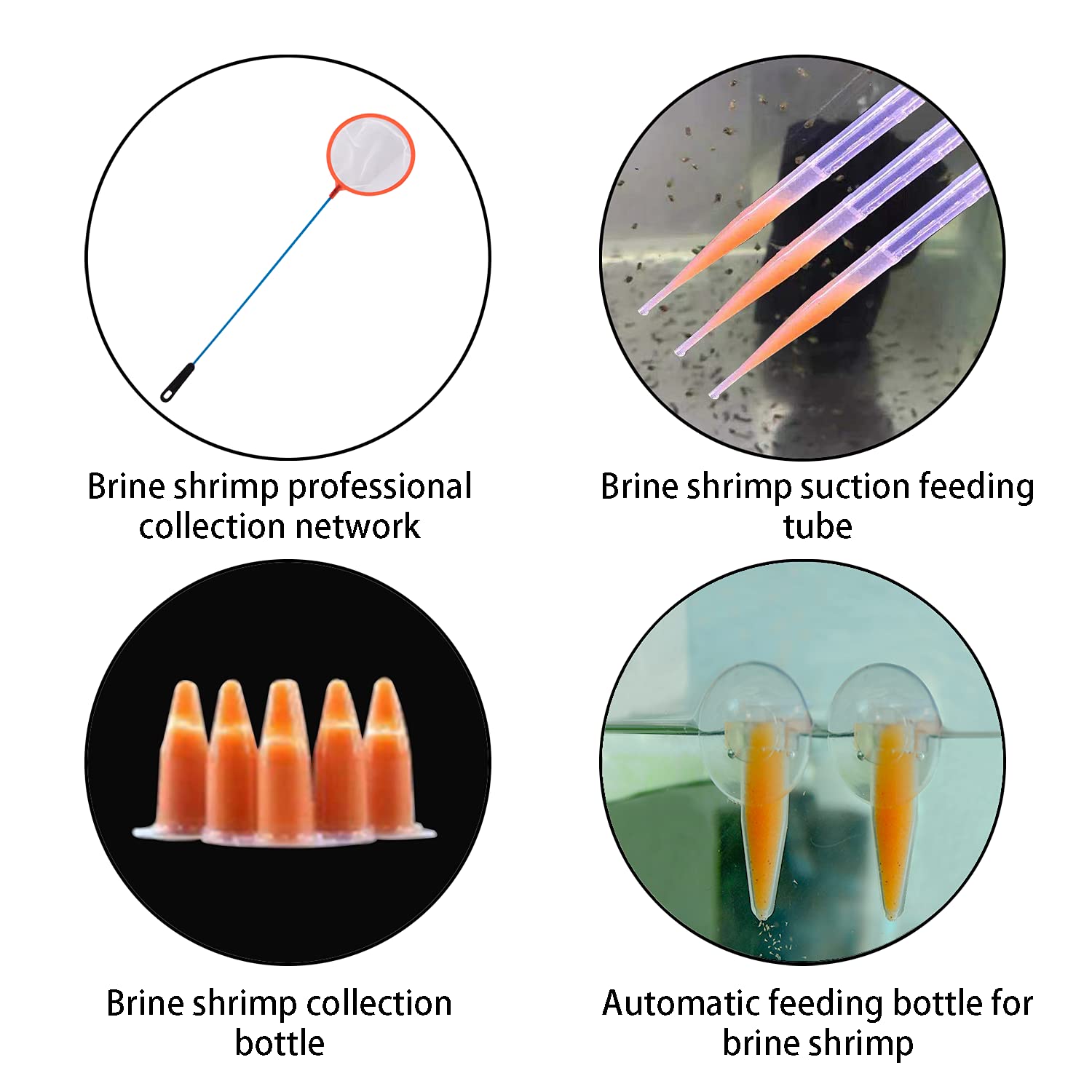 NestBasics brine shrimp net collector captures hatched shrimp for easy transfer.