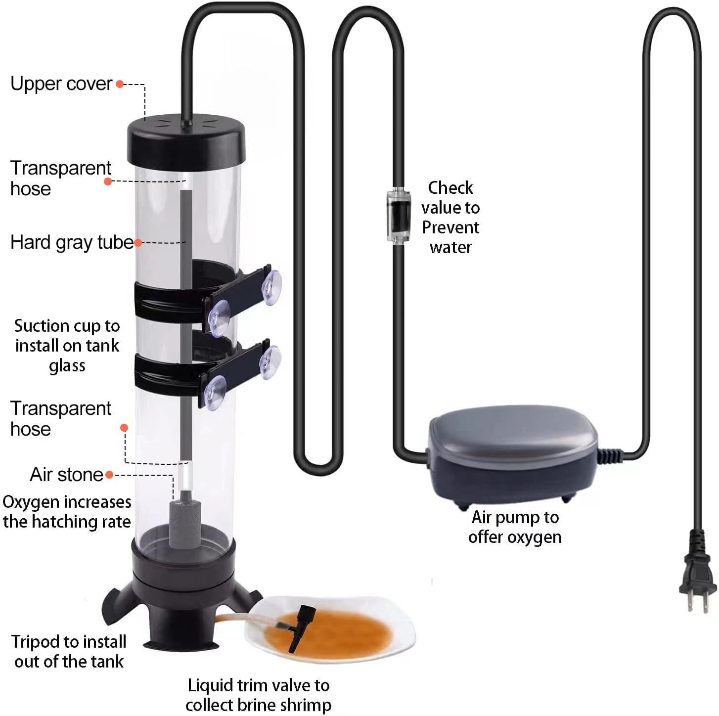 NestBasics check valve and air stone illustrating precise oxygen delivery for hatch timing.