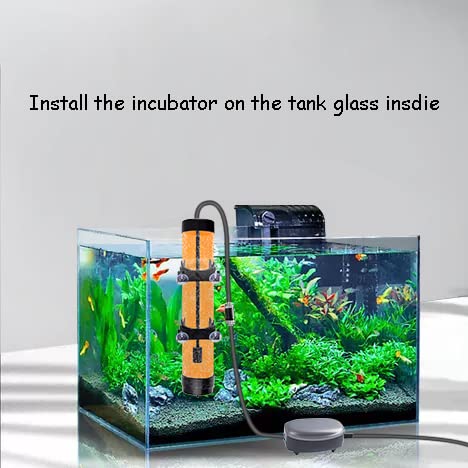 NestBasics transparent tubing and airline shows flexible setup options for brine shrimp incubation.