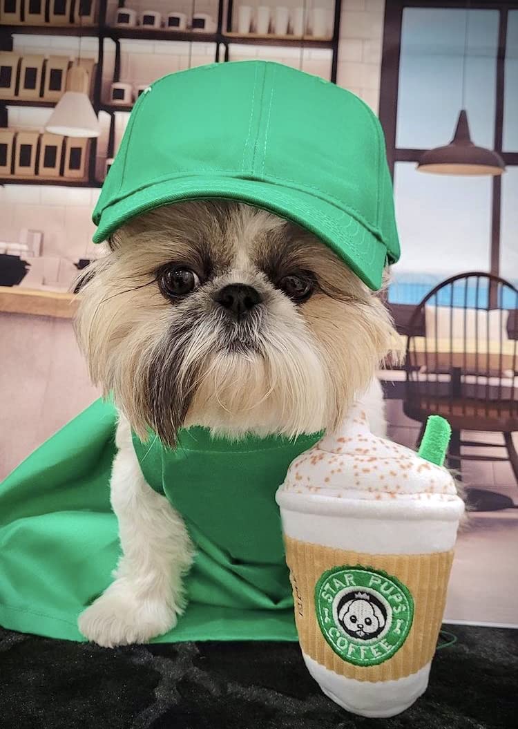 Nestpark Juguete Café para Perro de 6,5 pulgadas, tamaño versátil.