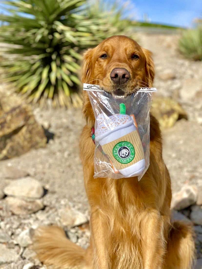 Nestpark Juguete para cumpleaños caninos, crea momentos de alegría segura.