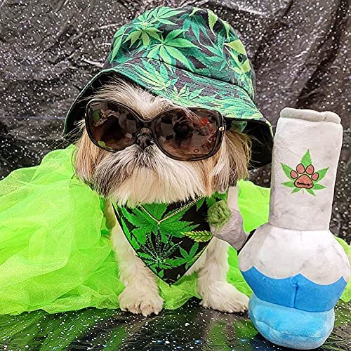 Nestpark Puppy Chiefer 3000 9.5-inch size suits small to large dogs for versatile play