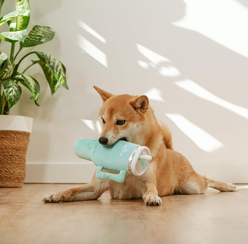 Nestpark Tumbler Dog Toy - gift-ready packaging for thoughtful presents.