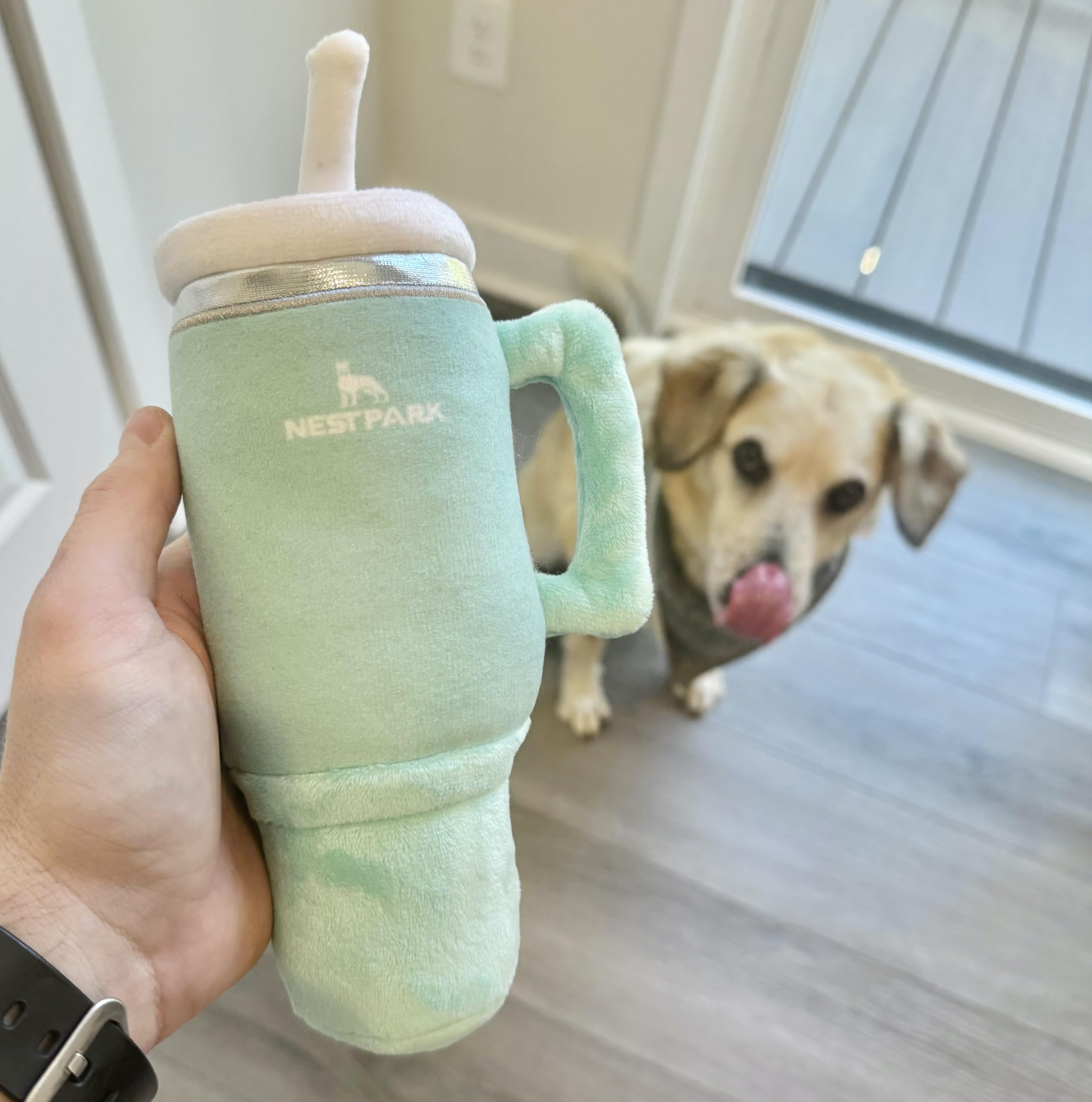 Nestpark Tumbler Dog Toy - seafoam color for vibrant playtime.