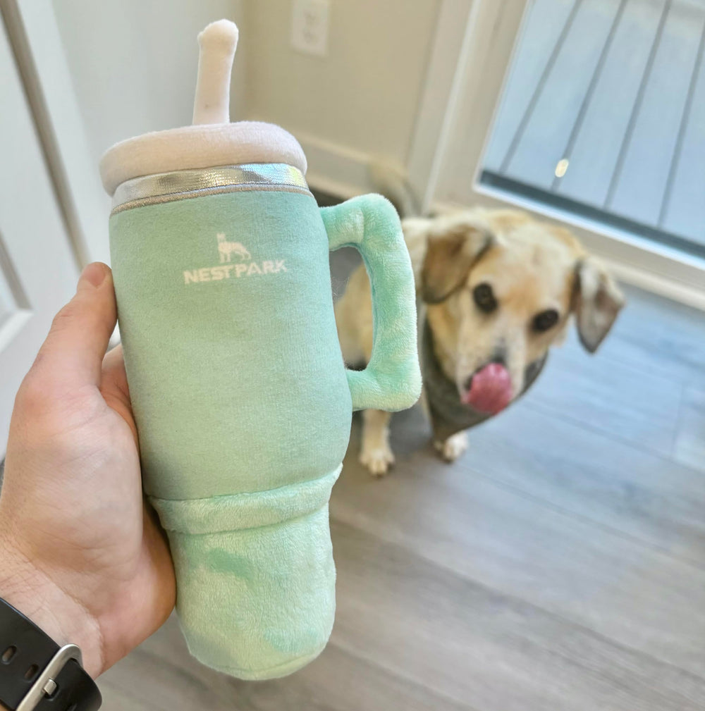 Nestpark Tumbler Dog Toy - seafoam color for vibrant playtime.
