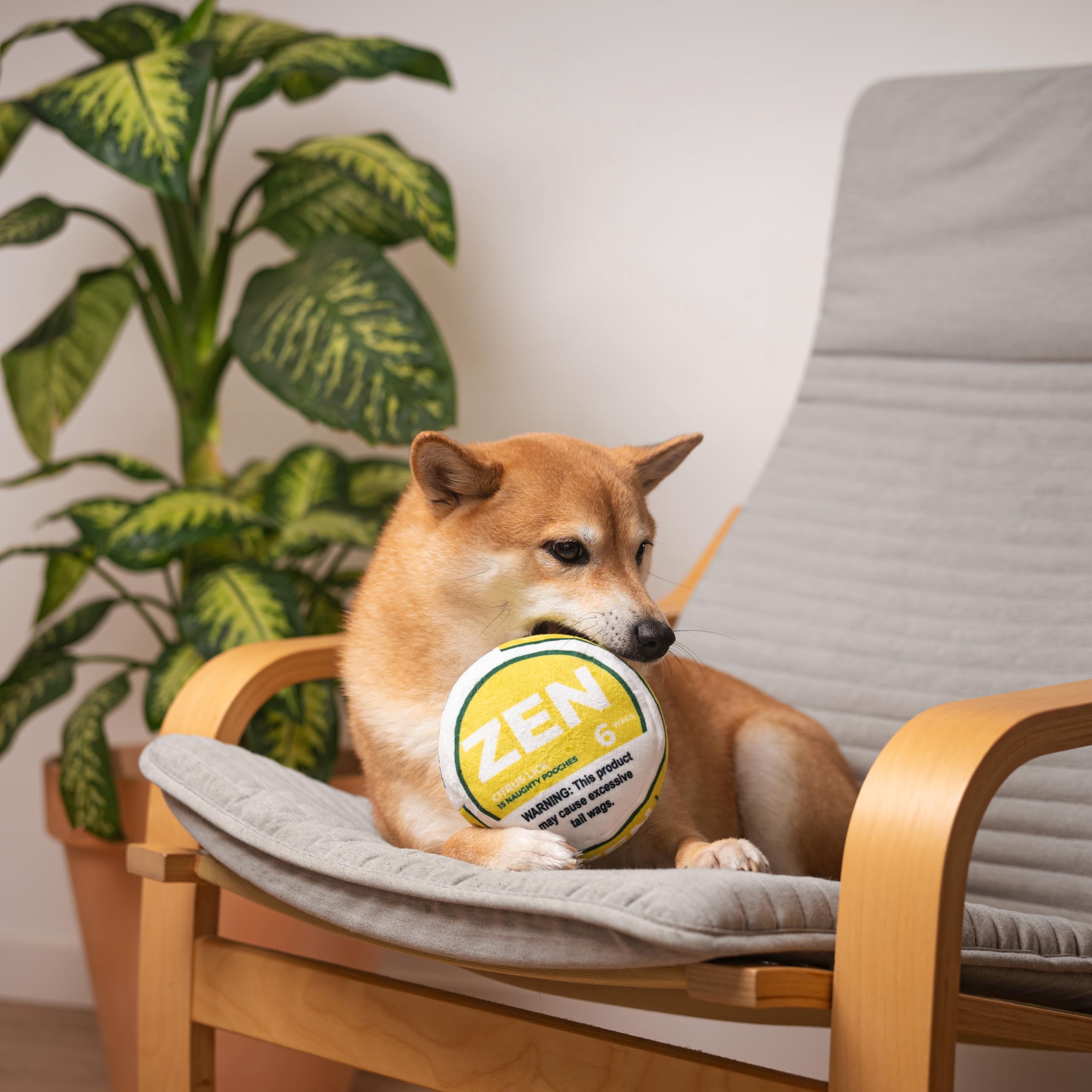 Nestpark Zen Pupper Deckies durability shown by inner mesh for tough chewers.