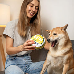 Nestpark Zen Pupper Deckies squeaky action captures dog engagement during fetch.