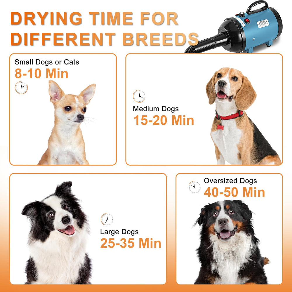 NestROAD dog dryer blue device image emphasizes high-velocity performance.